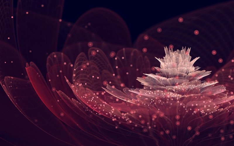 Сильвия Кордедда 2020