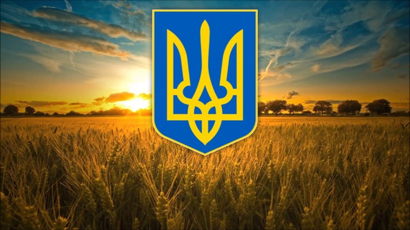 Украинский флаг с гербом