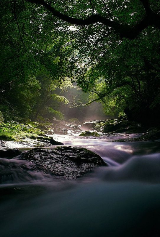 Красивая природа