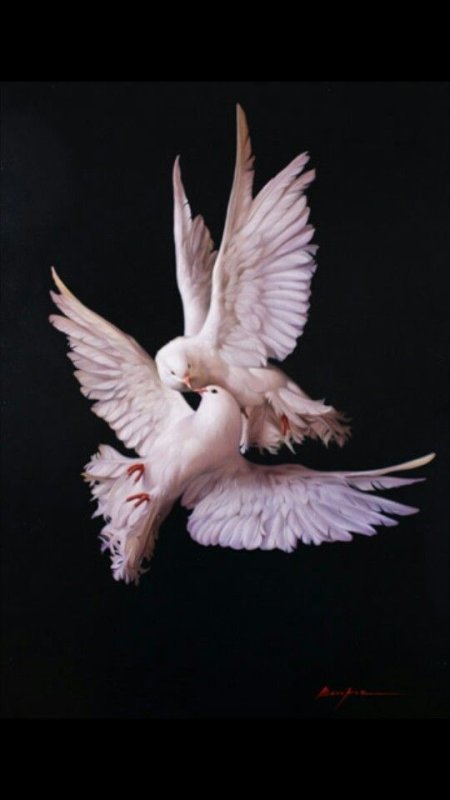 Летающий голубь