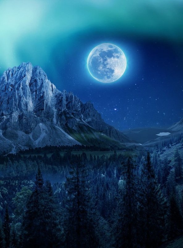 Лунная ночь