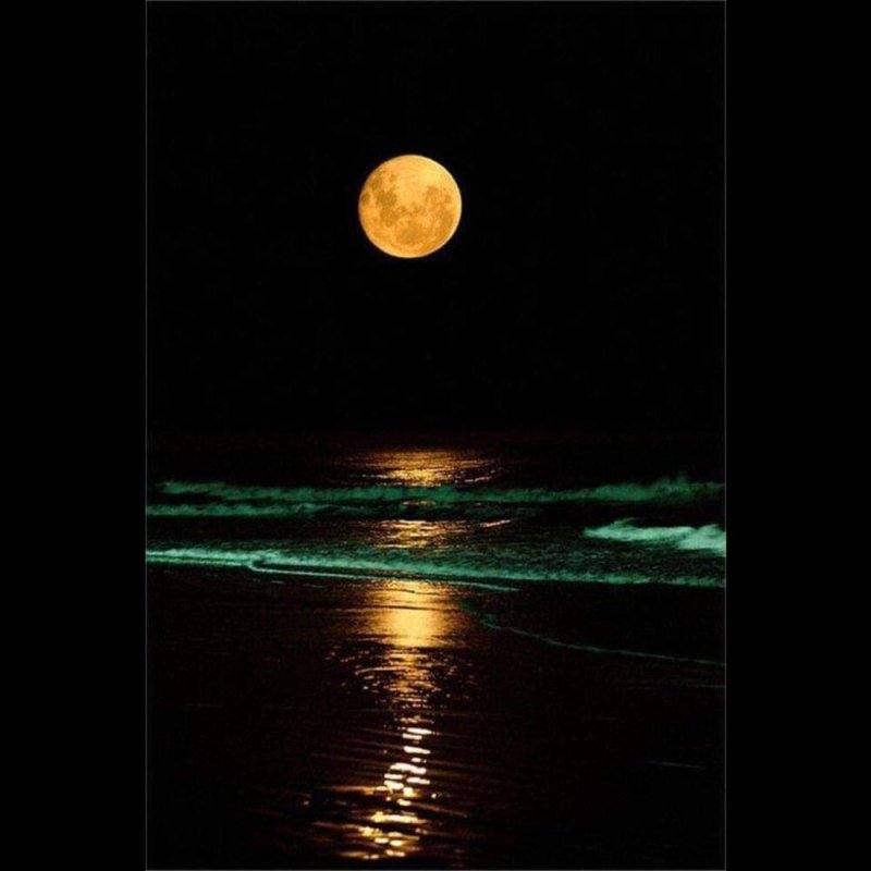 Луна и море