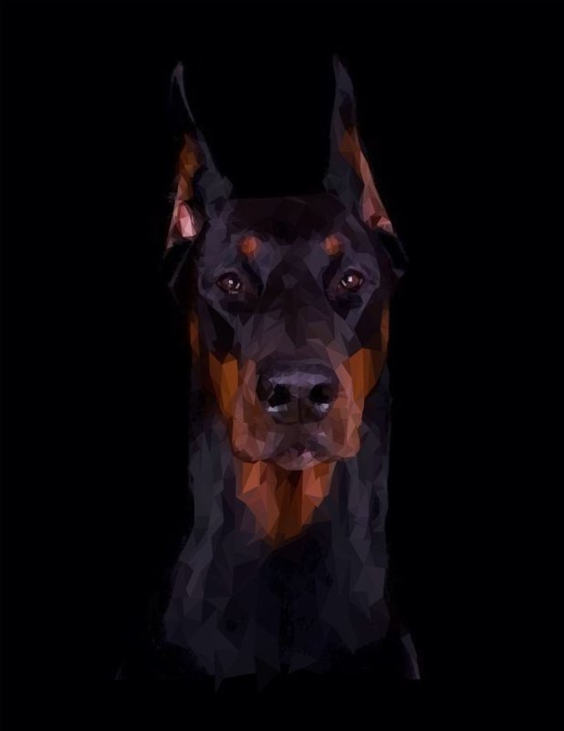 Доберман-пинчер оскал