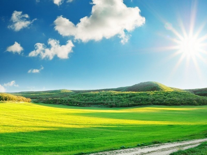 Солнечный день