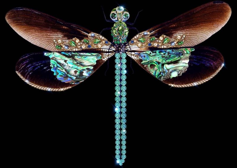 Бабочки и Стрекозы