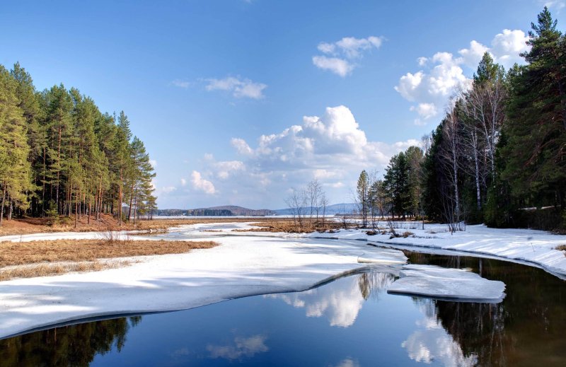 Весенняя природа