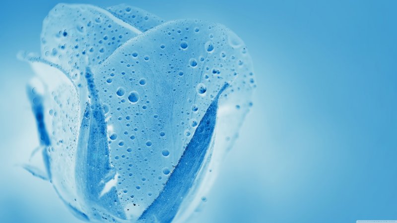 Макросъемка воды