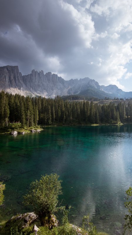 Природа топ