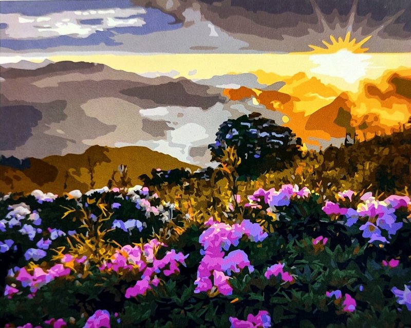 Природа рассвет