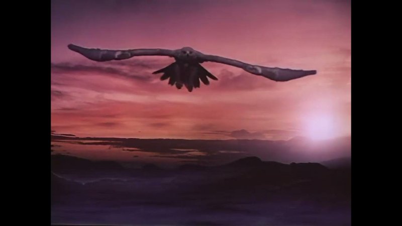 Заставки кинокомпаний