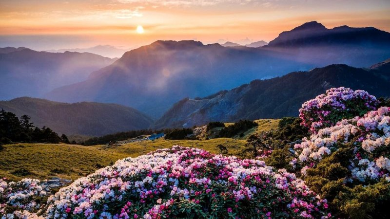 Цветочная Долина, Перуджа, Италия