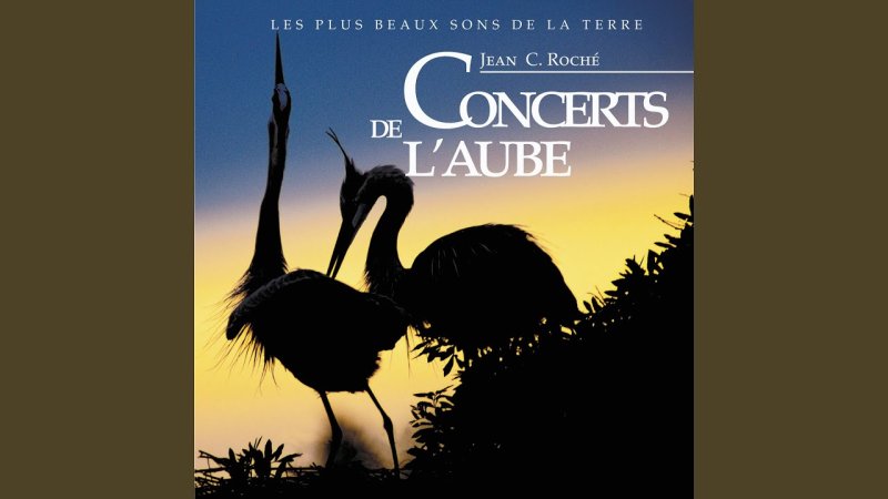 Одинокий журавль