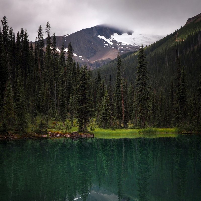 Озеро среди леса