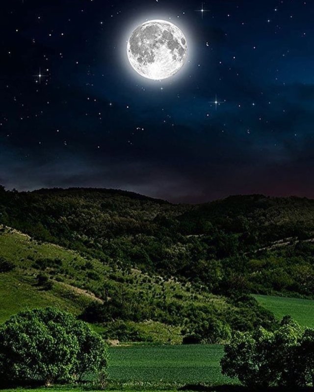 Ночной пейзаж