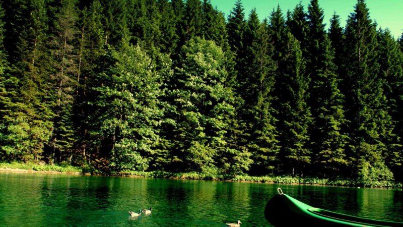 Зеленое озеро