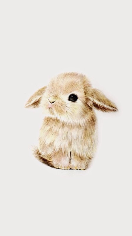 Миленький зайчик