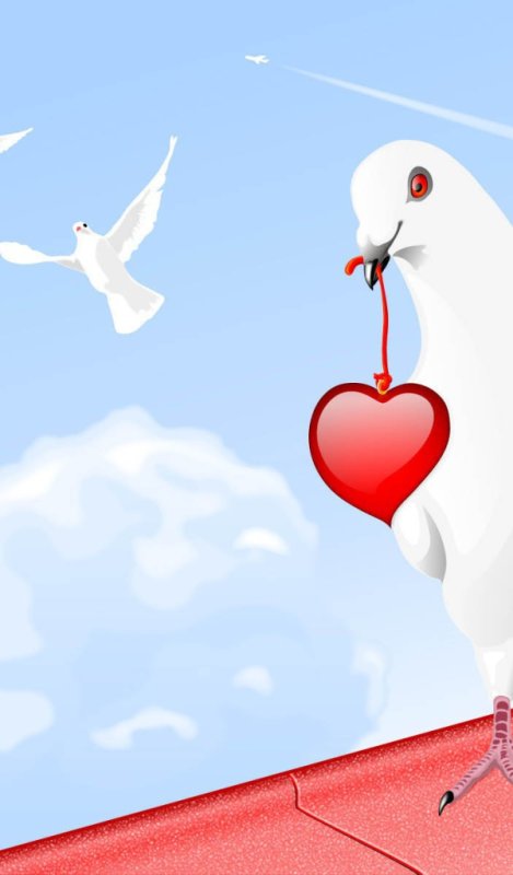 Влюбленные голубки