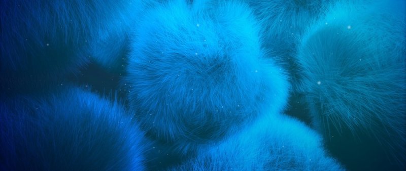 Голубой мех