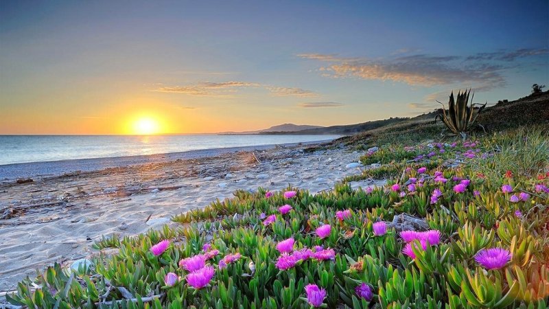 Крым весной