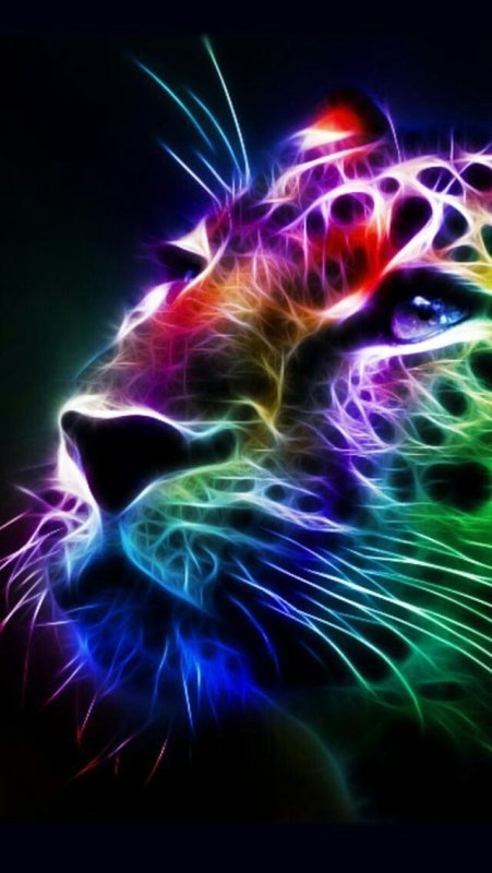 Яркие животные