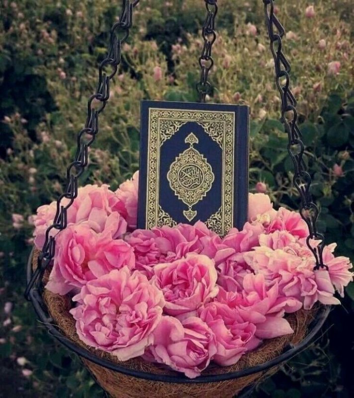 Цветы Ислам