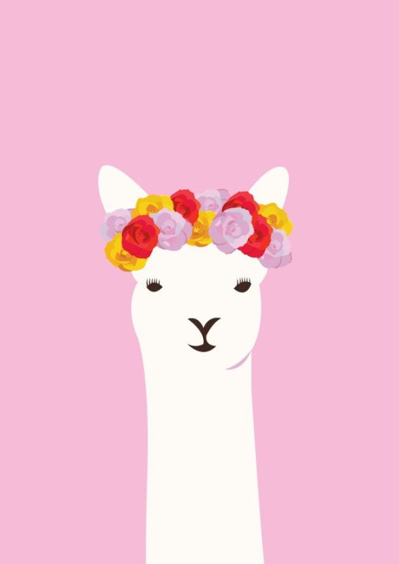 Лама обои на телефон