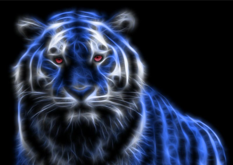 Тигр на заставку