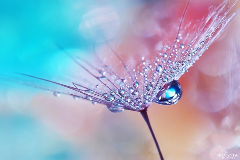 Фоны красивые и редкие