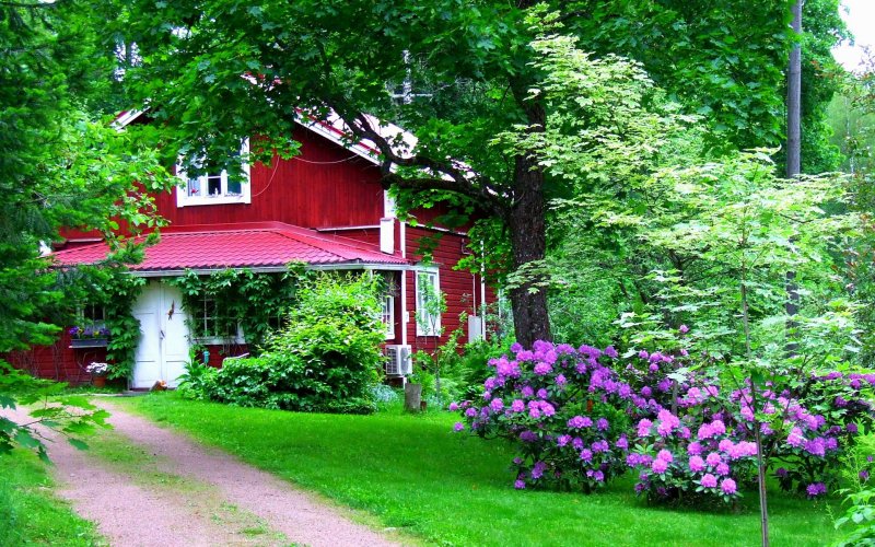 Арборетум Мустила