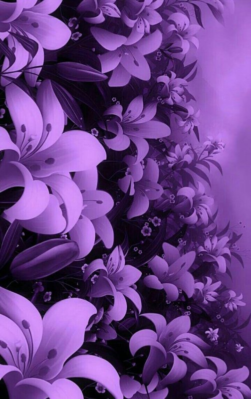 Фиолетовые цветы на телефон