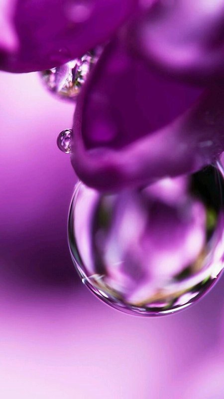 Фиолетовый фон