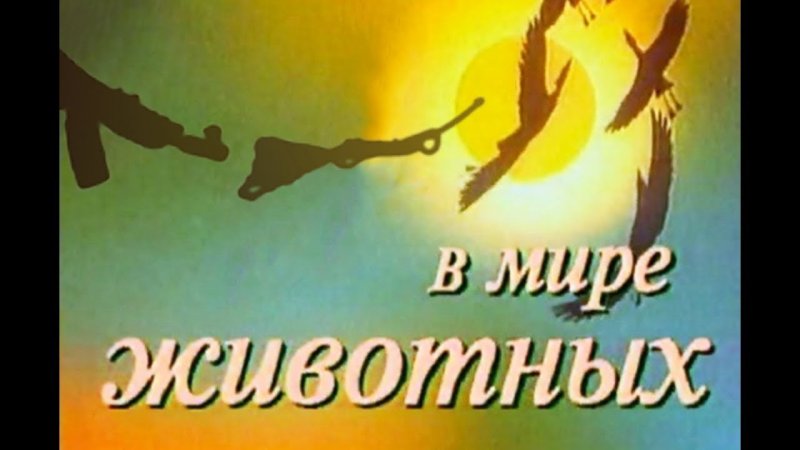 В мире животных телепередача