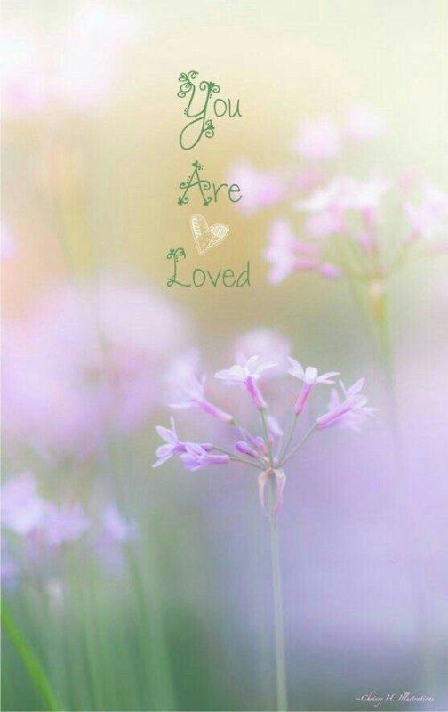 Нежный цветок