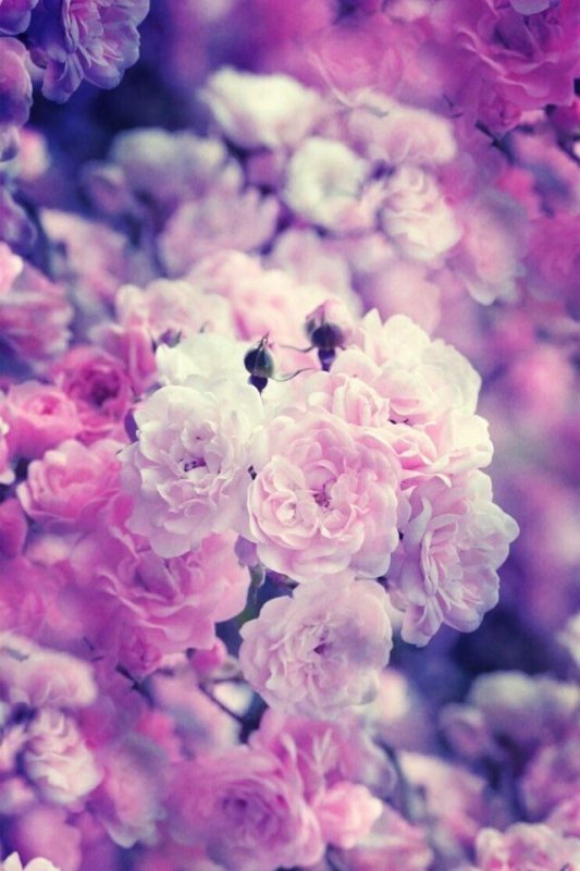 Фон на телефон красивые