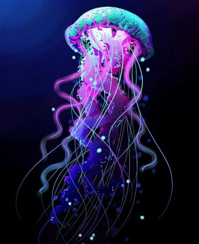 Красивые медузы