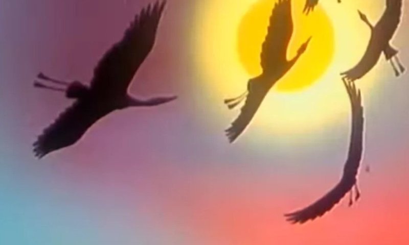 В мире животных телепередача