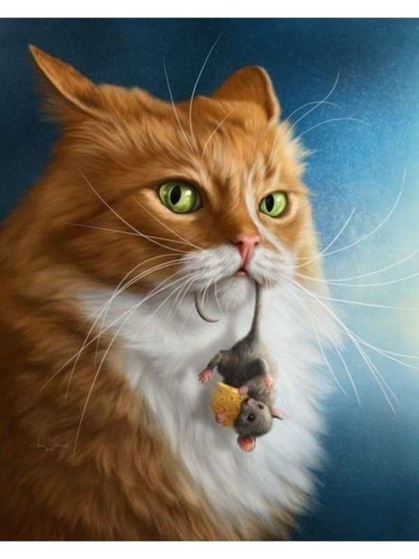 Рыжая кошка