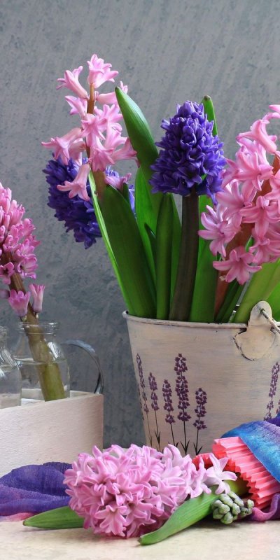Букет гиацинтов