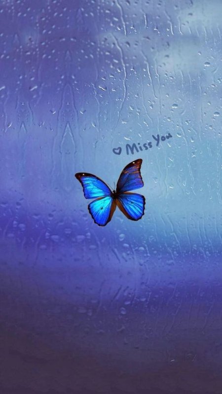 Красивые обои на телефон