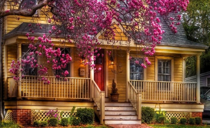 Красивый домик с садом