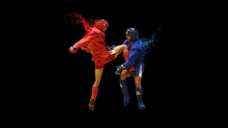 Боевое самбо