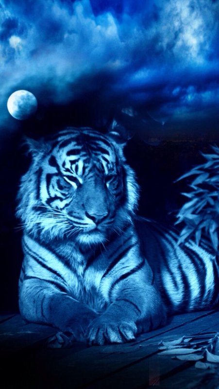 Голубая тигрица