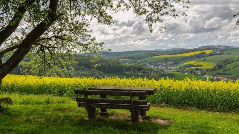 Пейзажи природы лето