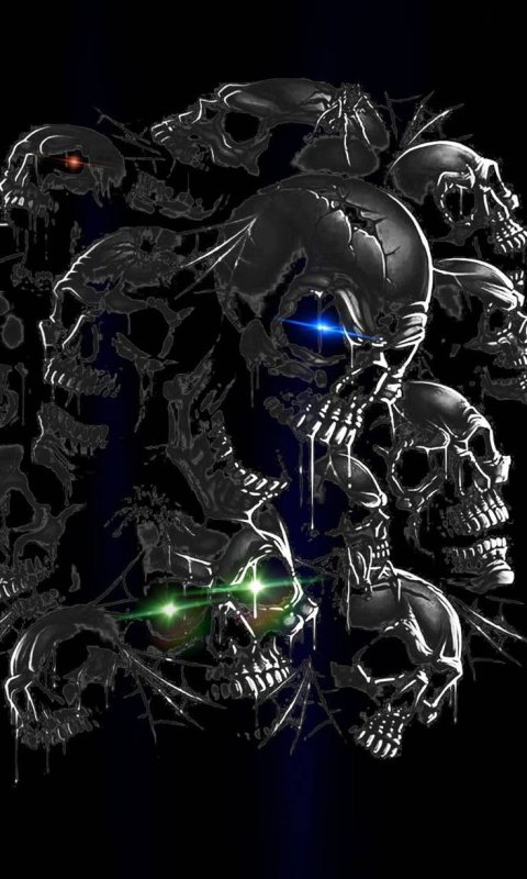 Красивый череп