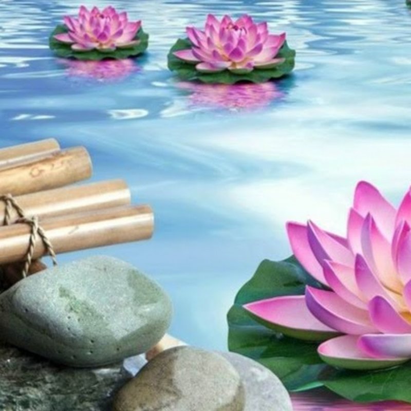 Картинки релакс природа