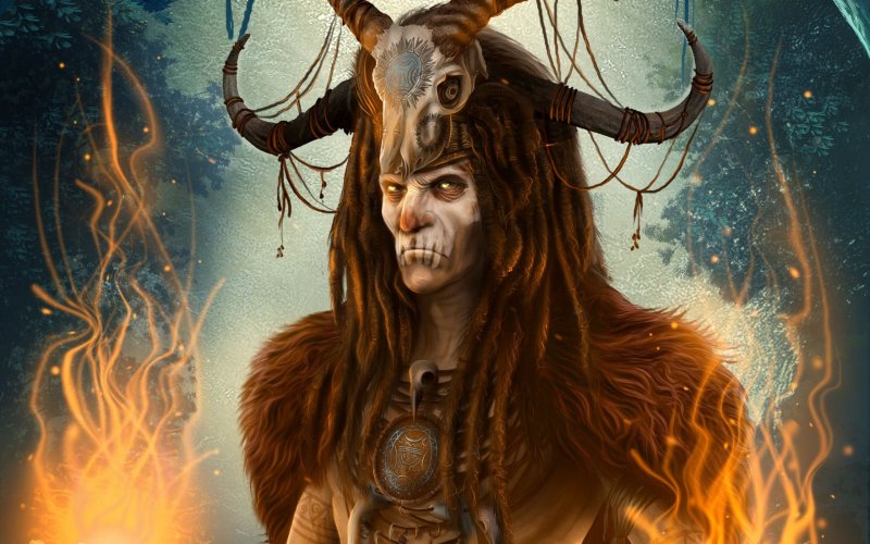 Шаманка арт