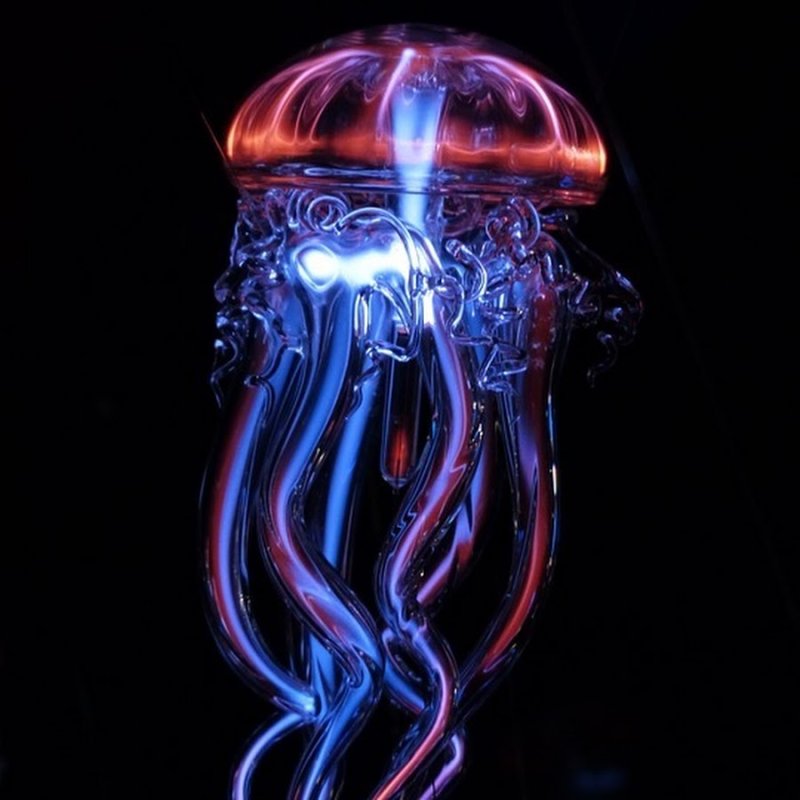 Люминесцентные медузы