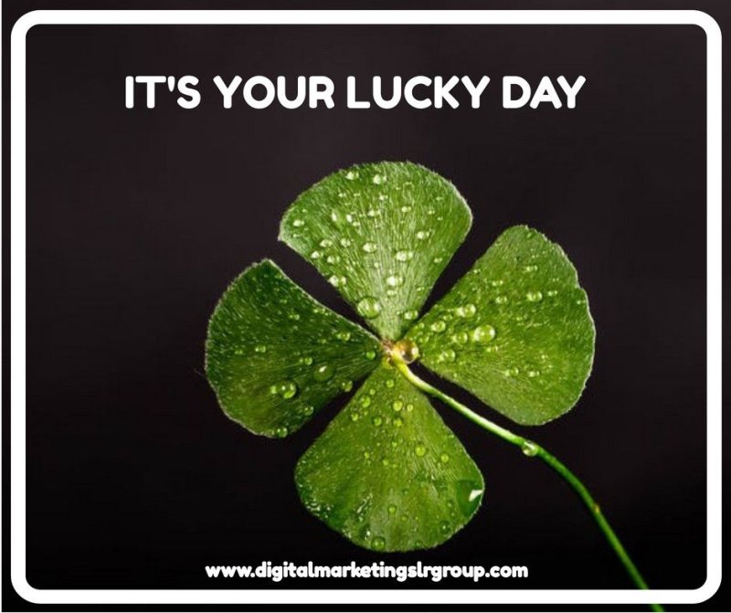 Клевер четырехлистный 4к