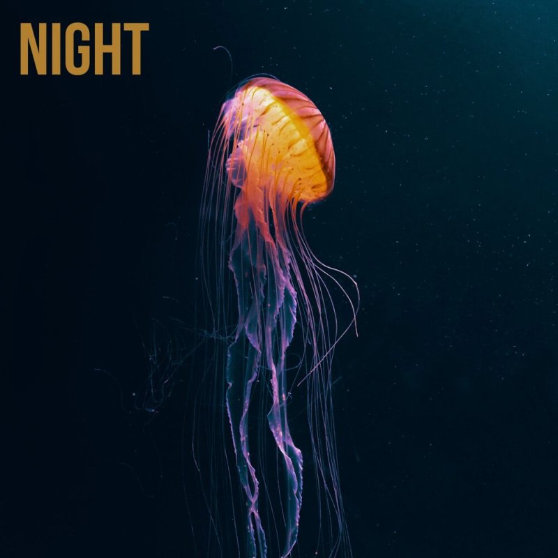 Магтаг медуза