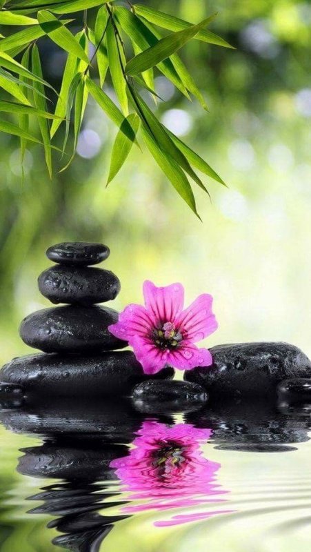 Природа релакс